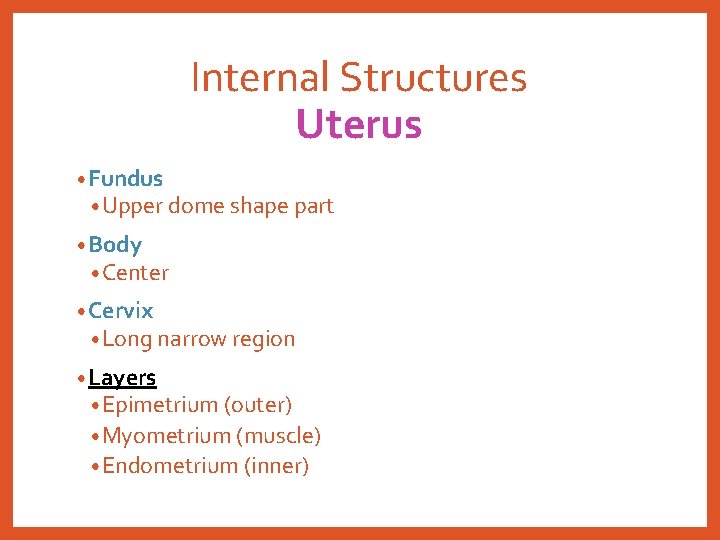 Internal Structures Uterus • Fundus • Upper dome shape part • Body • Center