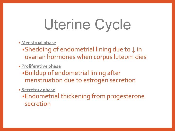 Uterine Cycle • Menstrual phase • Shedding of endometrial lining due to ↓ in