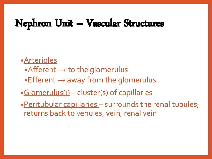 Nephron Unit – Vascular Structures • Arterioles • Afferent → to the glomerulus •