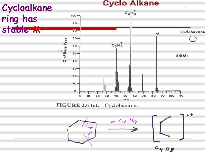 Cycloalkane ring has stable M. + 