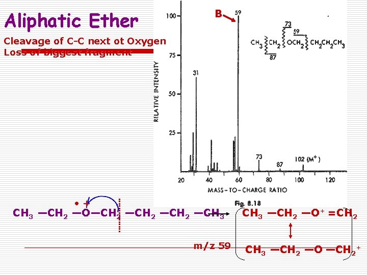 Aliphatic Ether B Cleavage of C-C next ot Oxygen Loss of biggest fragment •