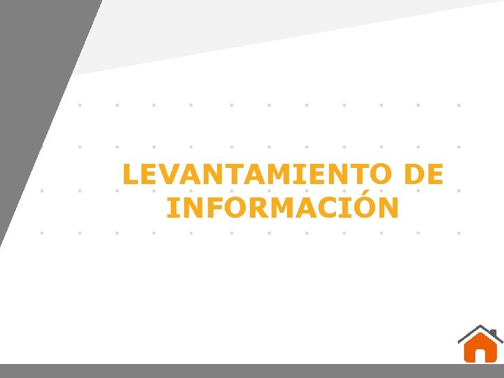 LEVANTAMIENTO DE INFORMACIÓN www. company. com 