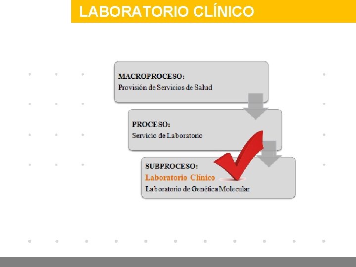 Company LOGO LABORATORIO CLÍNICO www. company. com 