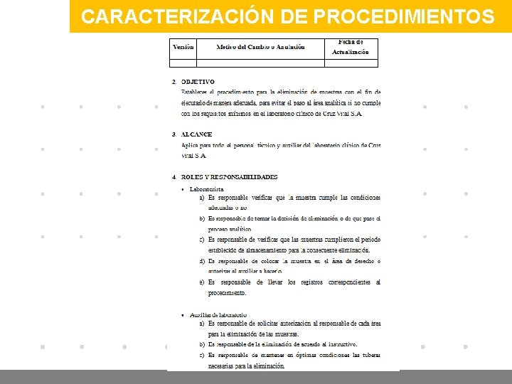 CARACTERIZACIÓN DE PROCEDIMIENTOS www. company. com 