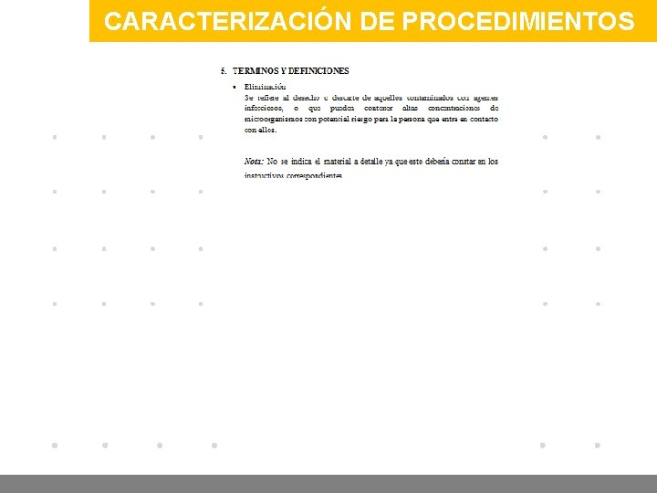 CARACTERIZACIÓN DE PROCEDIMIENTOS www. company. com 