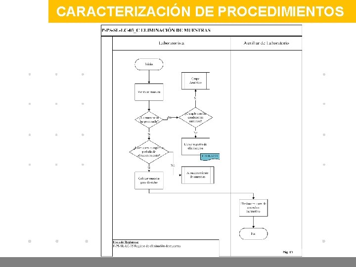 CARACTERIZACIÓN DE PROCEDIMIENTOS www. company. com 