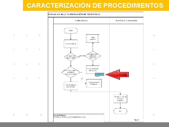 CARACTERIZACIÓN DE PROCEDIMIENTOS www. company. com 