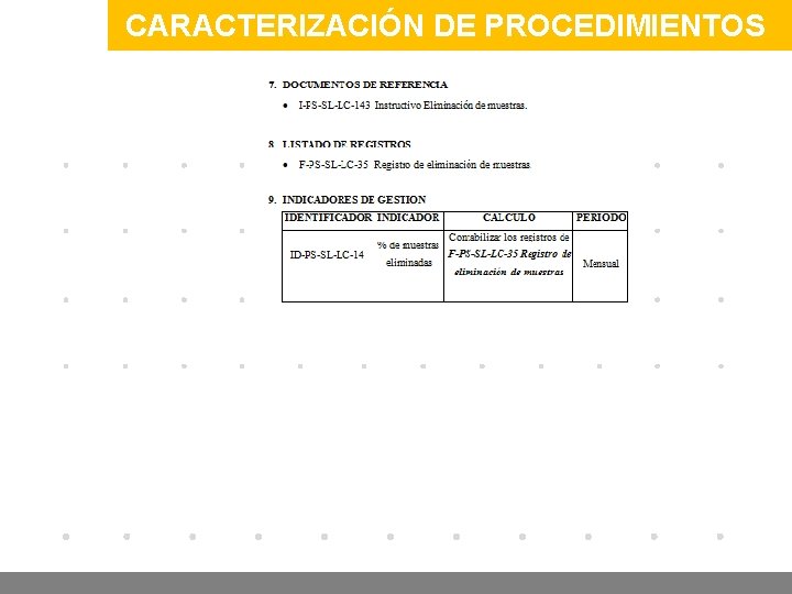 CARACTERIZACIÓN DE PROCEDIMIENTOS www. company. com 