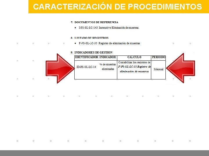 CARACTERIZACIÓN DE PROCEDIMIENTOS www. company. com 