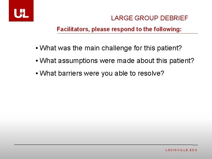 LARGE GROUP DEBRIEF Facilitators, please respond to the following: • What was the main