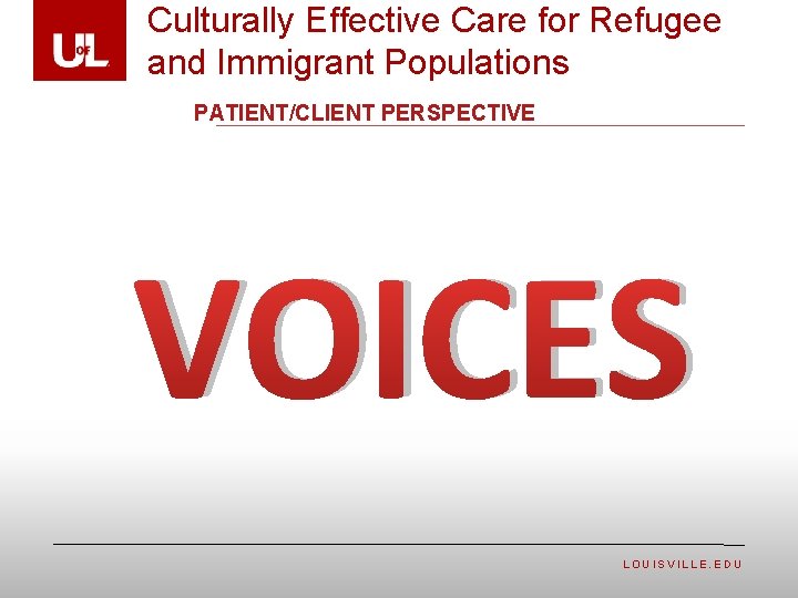 Culturally Effective Care for Refugee and Immigrant Populations PATIENT/CLIENT PERSPECTIVE VOICES LOUISVILLE. EDU 