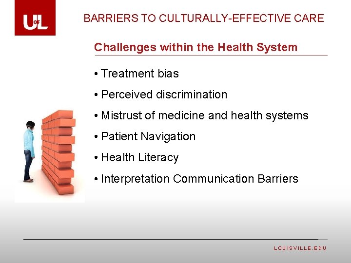 BARRIERS TO CULTURALLY-EFFECTIVE CARE Challenges within the Health System • Treatment bias • Perceived