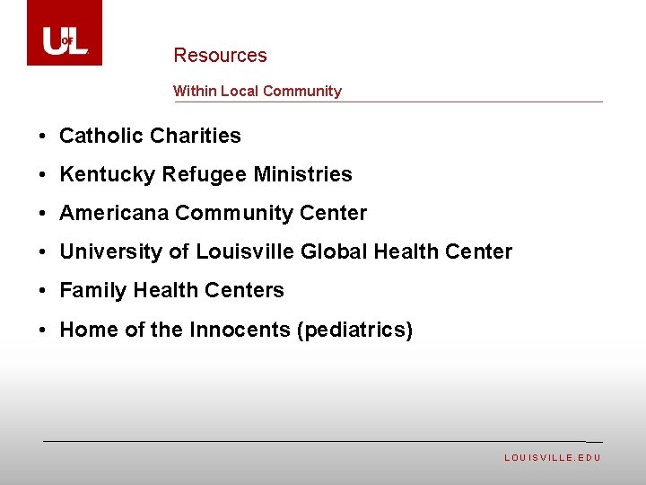 Resources Within Local Community • Catholic Charities • Kentucky Refugee Ministries • Americana Community