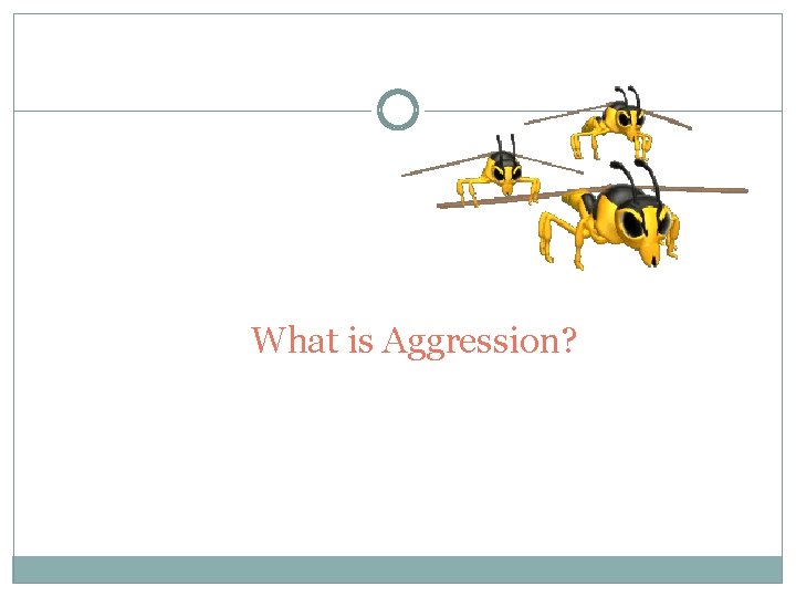 What is Aggression? 