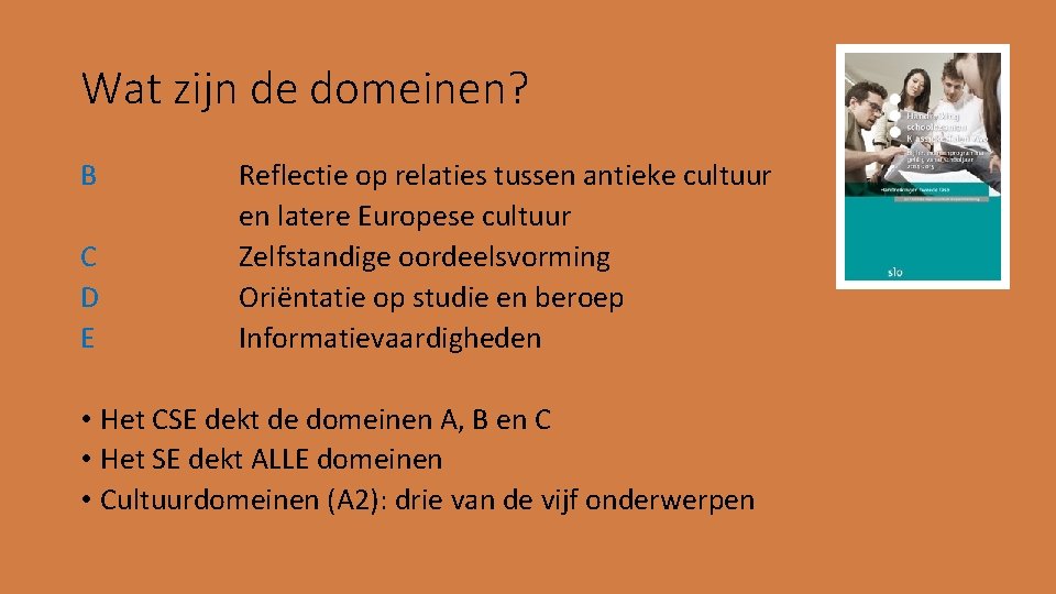 Wat zijn de domeinen? B C D E Reflectie op relaties tussen antieke cultuur
