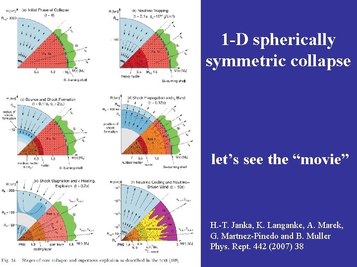 1 -D spherically symmetric collapse let’s see the “movie” H. -T. Janka, K. Langanke,