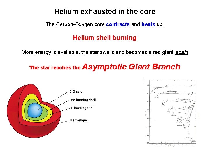 Helium exhausted in the core The Carbon-Oxygen core contracts and heats up. Helium shell