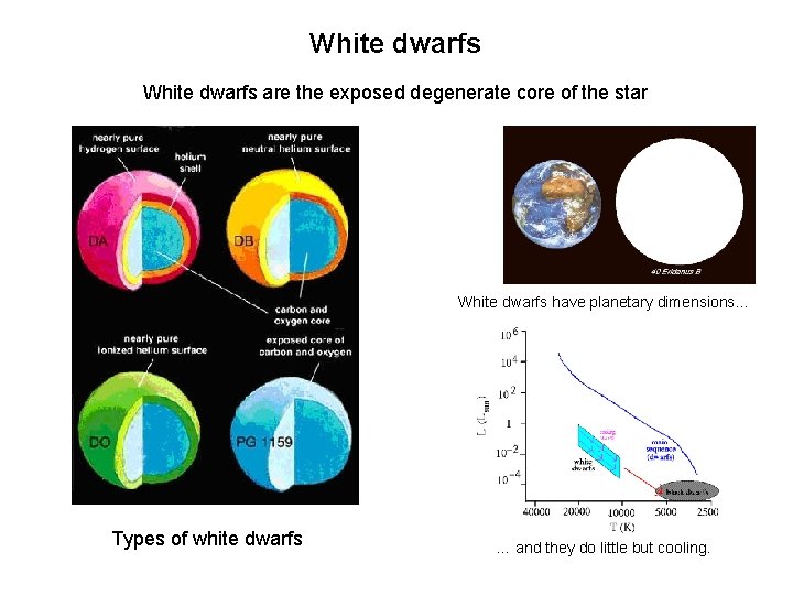 White dwarfs are the exposed degenerate core of the star White dwarfs have planetary