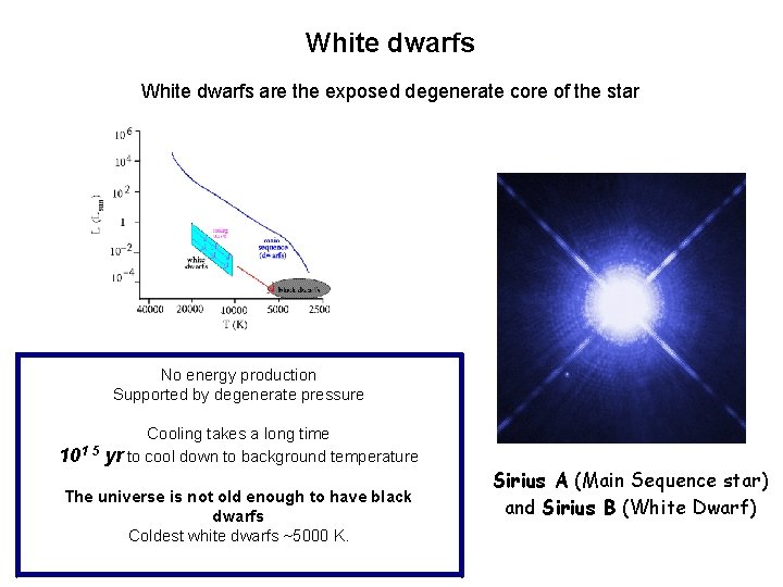 White dwarfs are the exposed degenerate core of the star No energy production Supported