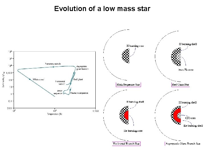 Evolution of a low mass star 