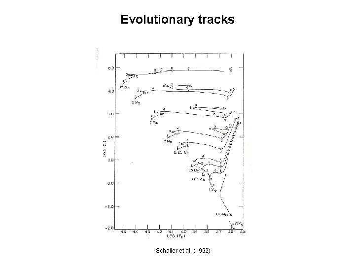 Evolutionary tracks Schaller et al. (1992) 