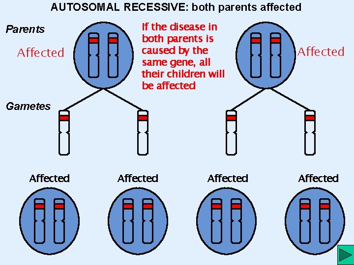 AUTOSOMAL RECESSIVE: both parents affected Parents Affected If the disease in both parents is