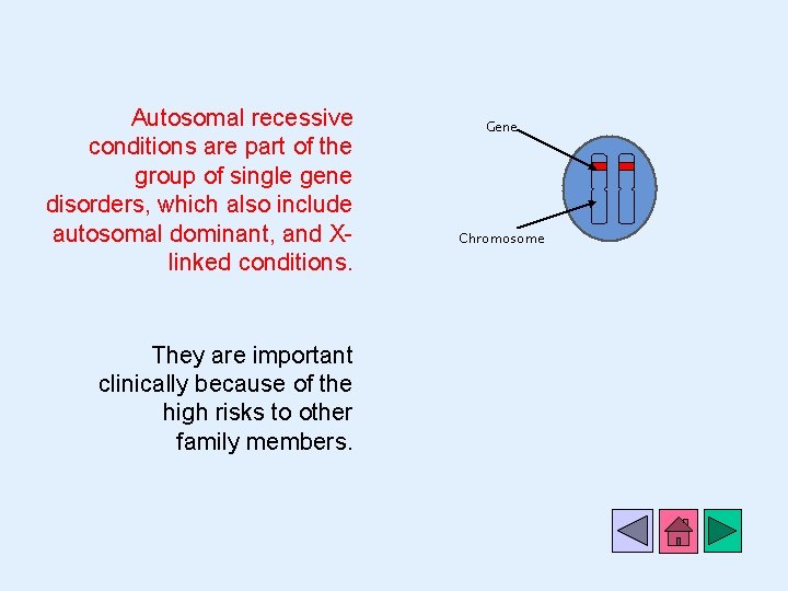 Autosomal recessive conditions are part of the group of single gene disorders, which also