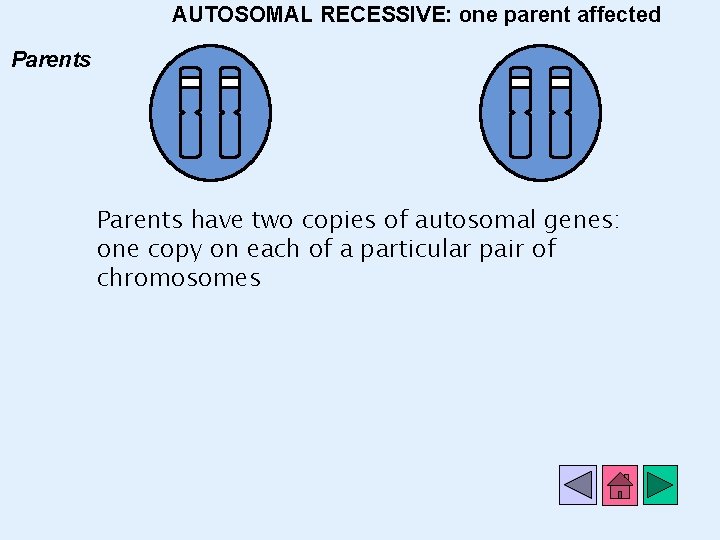 AUTOSOMAL RECESSIVE: one parent affected Parents have two copies of autosomal genes: one copy