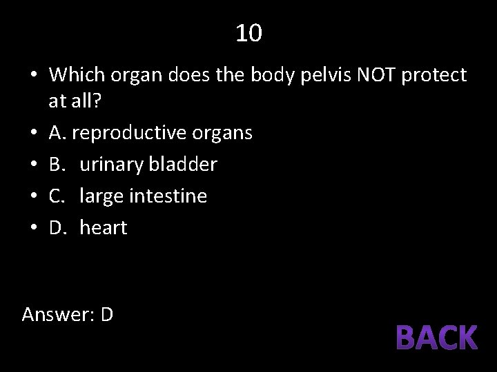 10 • Which organ does the body pelvis NOT protect at all? • A.