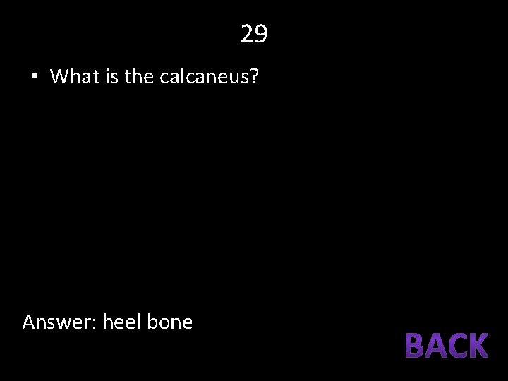 29 • What is the calcaneus? Answer: heel bone 