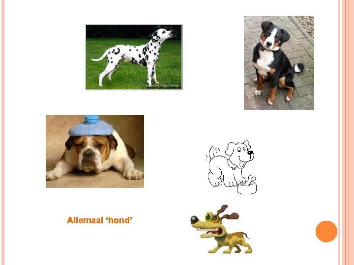 Allemaal ‘hond’ 