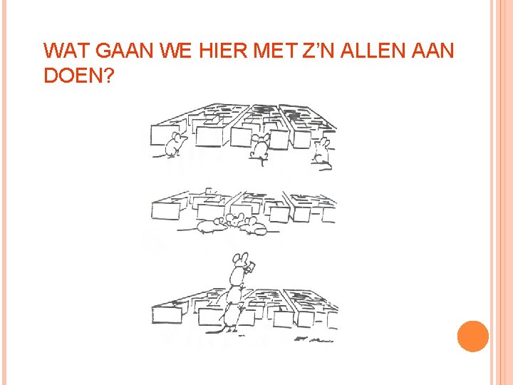 WAT GAAN WE HIER MET Z’N ALLEN AAN DOEN? 