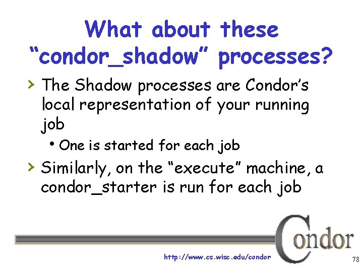 What about these “condor_shadow” processes? › The Shadow processes are Condor’s local representation of