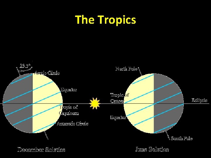 The Tropics 