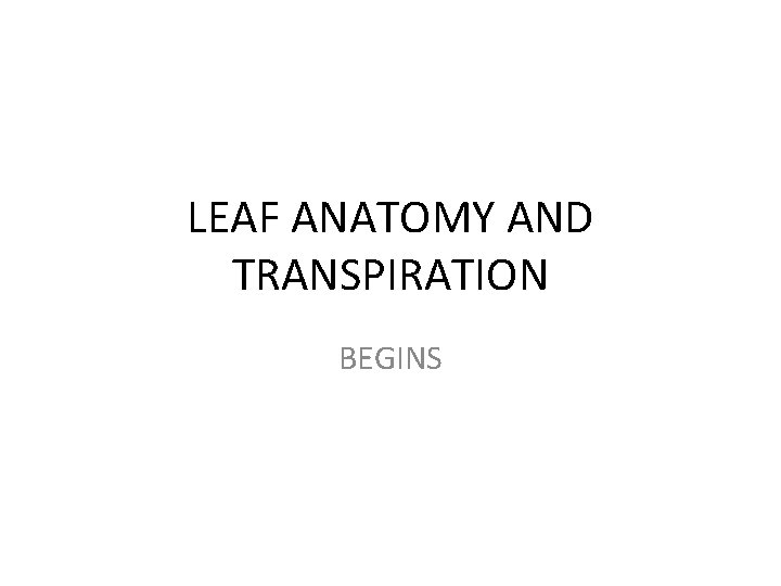 LEAF ANATOMY AND TRANSPIRATION BEGINS 