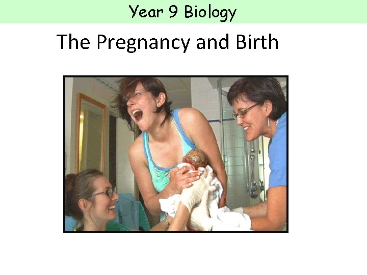 Year 9 Biology The Pregnancy and Birth 