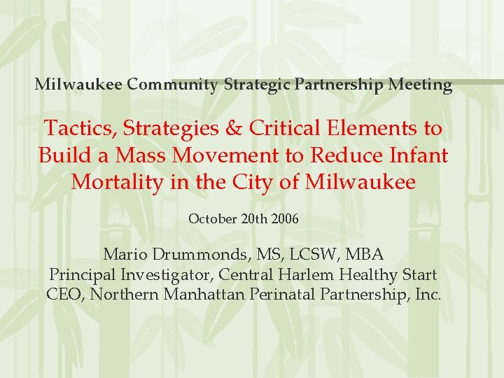 Milwaukee Community Strategic Partnership Meeting Tactics, Strategies & Critical Elements to Build a Mass