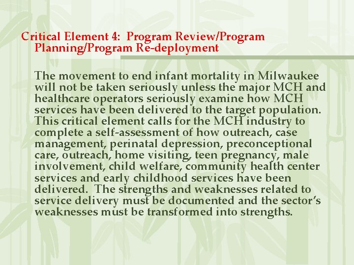 Critical Element 4: Program Review/Program Planning/Program Re-deployment The movement to end infant mortality in