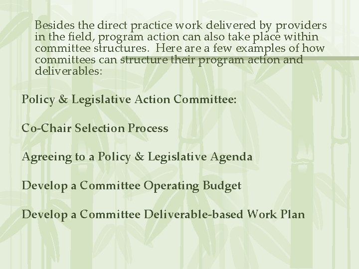 Besides the direct practice work delivered by providers in the field, program action can