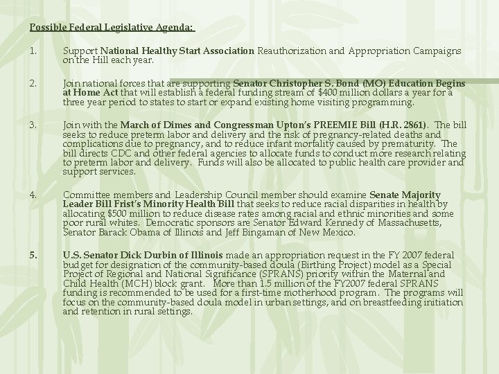 Possible Federal Legislative Agenda: 1. Support National Healthy Start Association Reauthorization and Appropriation Campaigns