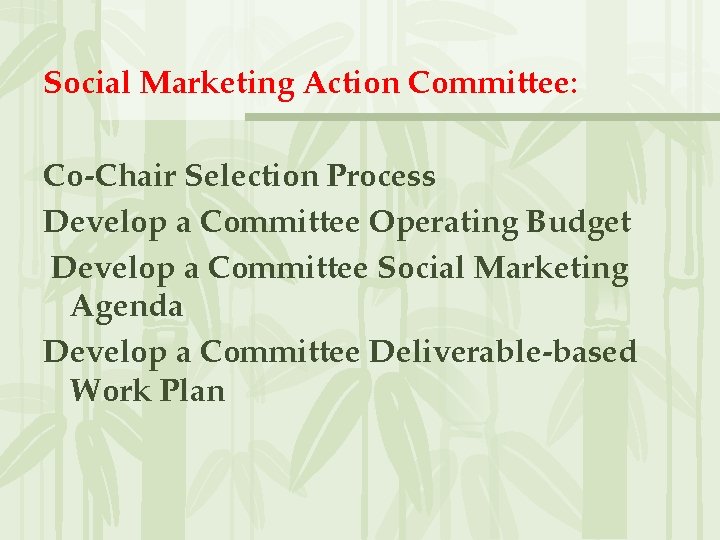 Social Marketing Action Committee: Co-Chair Selection Process Develop a Committee Operating Budget Develop a