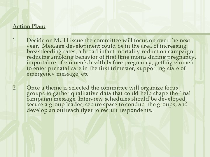 Action Plan: 1. Decide on MCH issue the committee will focus on over the