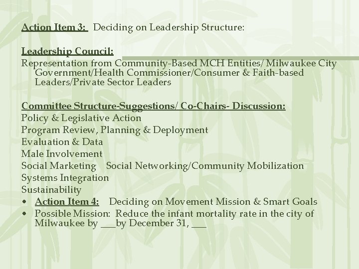 Action Item 3: Deciding on Leadership Structure: Leadership Council: Representation from Community-Based MCH Entities/