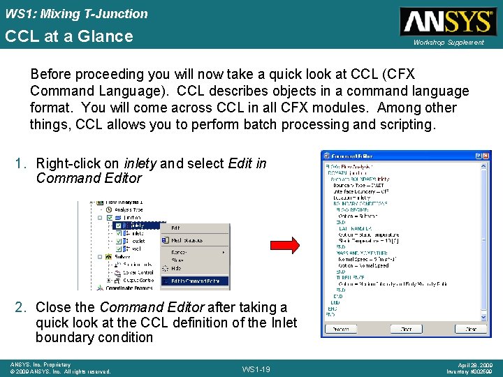 WS 1: Mixing T-Junction CCL at a Glance Workshop Supplement Before proceeding you will