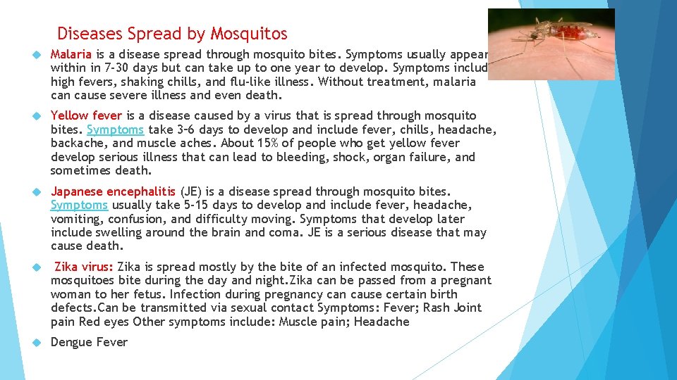 Diseases Spread by Mosquitos Malaria is a disease spread through mosquito bites. Symptoms usually