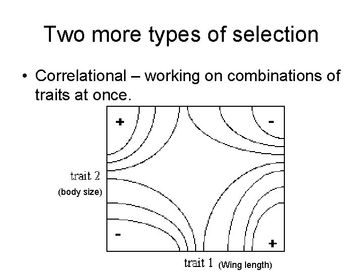 Two more types of selection • Correlational – working on combinations of traits at