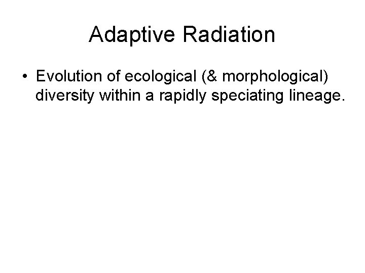 Adaptive Radiation • Evolution of ecological (& morphological) diversity within a rapidly speciating lineage.