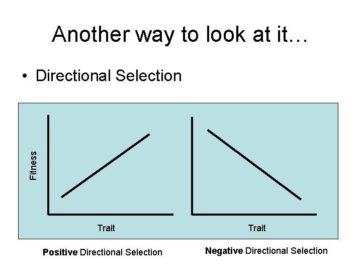 Another way to look at it… Fitness • Directional Selection Trait Positive Directional Selection