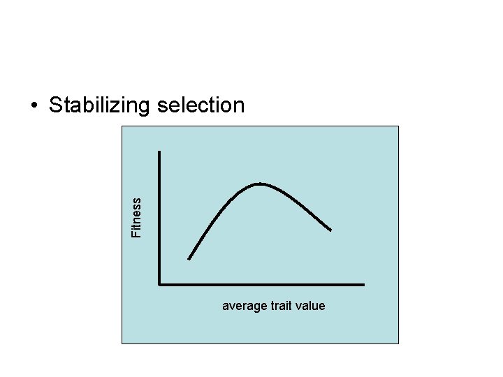 Fitness • Stabilizing selection average trait value 