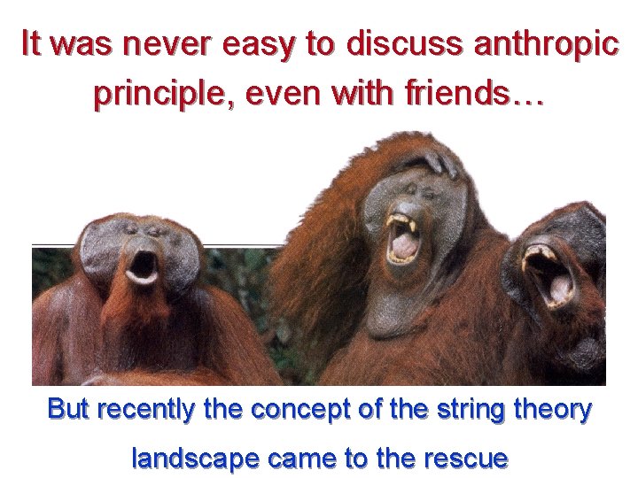 It was never easy to discuss anthropic principle, even with friends… But recently the It was never easy to discuss anthropic principle, even with friends… But recently the